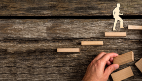 Institutional Diversification